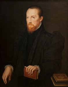 Bearded, Red-Headed Man, Seated by Pierre Pourbus